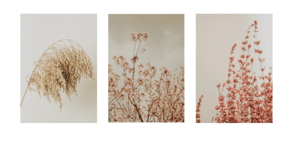 Flower set