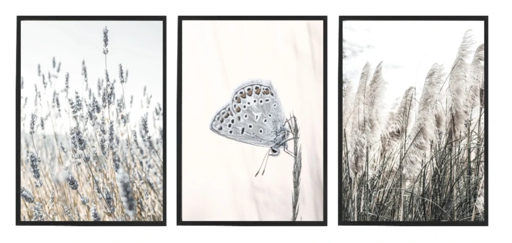 Butterfly set