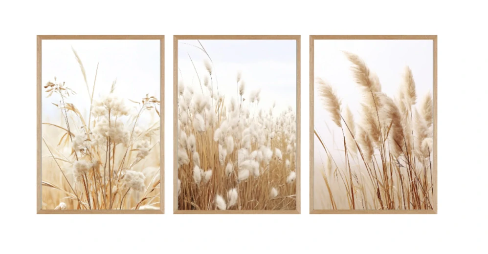 Beige pampas 3set