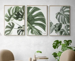 Monstera set