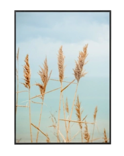 Blue sky pampas