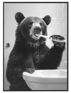 Ranní hygiena medvěda