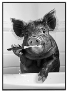 Ranní hygiena prasátka