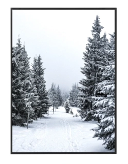 Zasněžená krajina