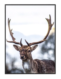 Jelen a zimní krajina