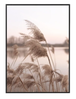 Beige pampas N3