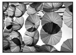 Umbrellas