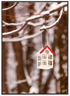 Winter decoration on tree