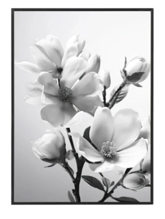 Black and white flower