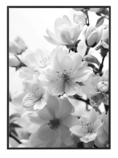 Black and white flower