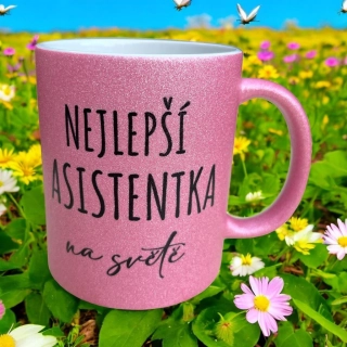 Nejlepší asistentka na světě