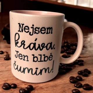 Nejsem kráva. Jen blbě čumim!