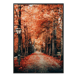 Podzimní kouzlo aleje