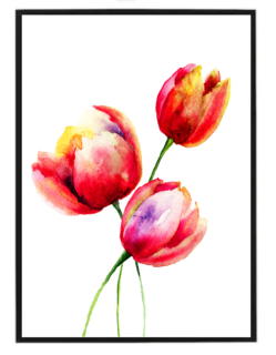 Tulipány watercolor