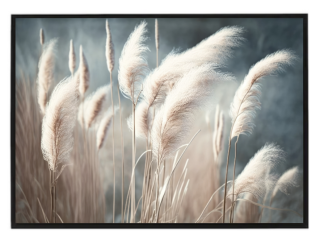 White pampas