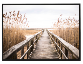 Pier and dry reeds