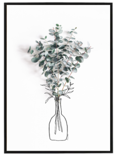 Eucalyptus line