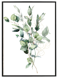 Eukalyptus watercolor N1