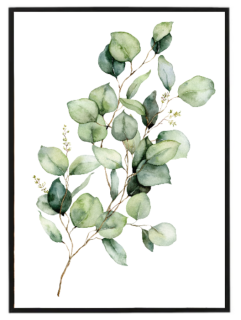 Eukalyptus watercolor N2