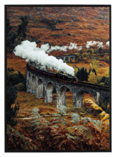 Magical train