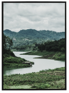 River in forest
