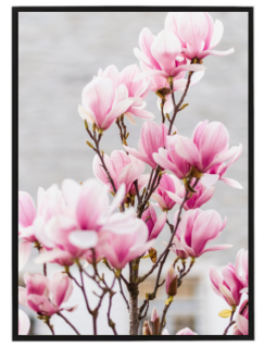 Pink flower