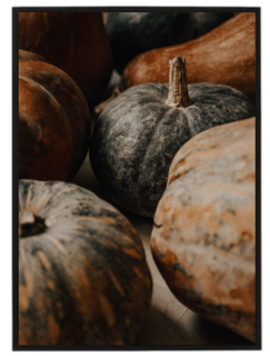 Pumpkin dark