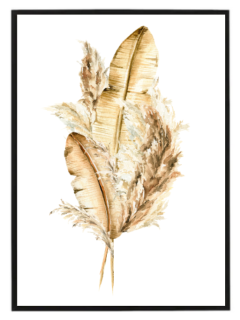 Zlatá pírka a pampas