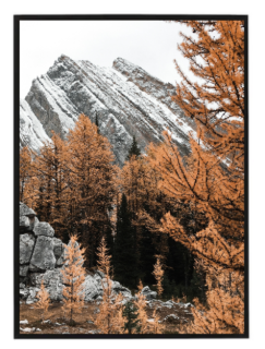 Orange nature N1