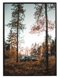Orange nature N2