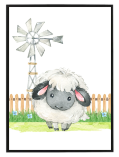 Serie domácí zvířata: Ovečka