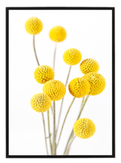 Yellow flower