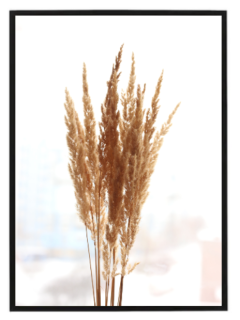 Dry reed in vase