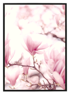 Pink magnolia