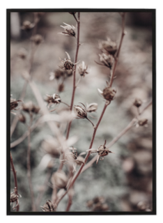 Frost dry