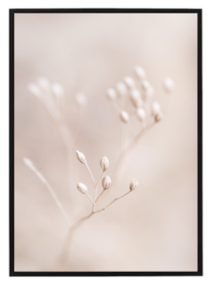 Beige poster