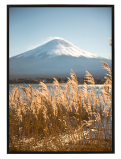 Pampas Mountains