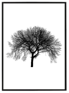Černobílý strom