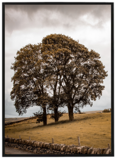Beige tree
