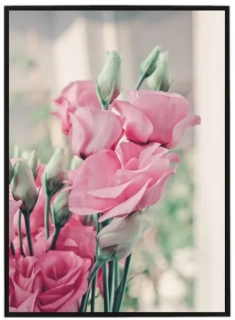 Pink flower