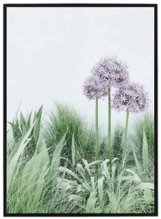 Spring flower N1
