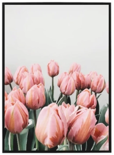 Spring tulips 