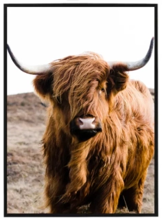 Beige cow