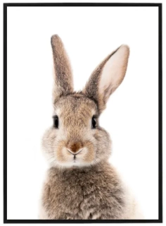 Velikonoční zajíček N1