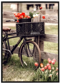 Retro kolo s tulipány