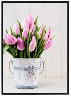 Tulipány JARO