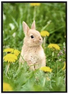 Easter bunny