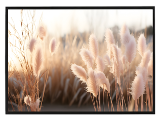 Pampas N3