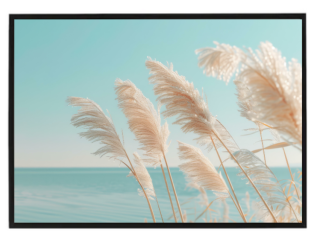 Pampas Sea