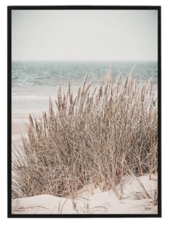 Suchá tráva u moře